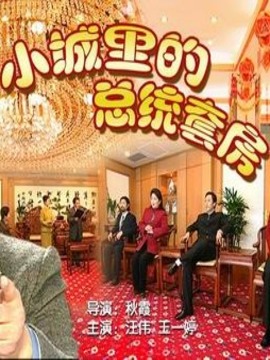 小城里的总统套房