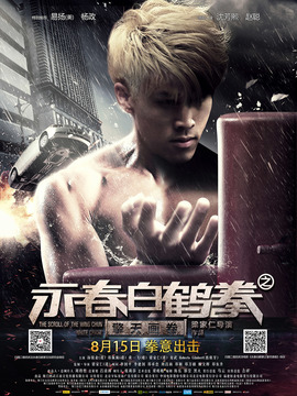 永春白鹤拳之擎天画卷