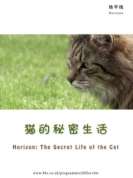 猫的秘密生活