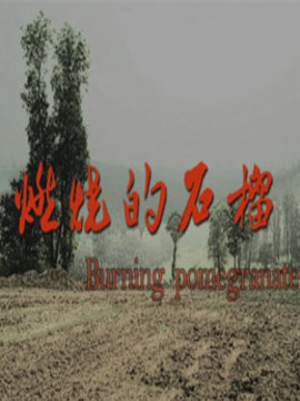 燃烧的石榴