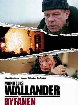 沃兰德探长系列:愚者之罪