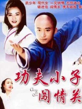 功夫小子闯情关