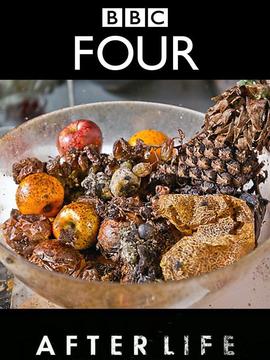 生命循环：奇异的腐烂科学