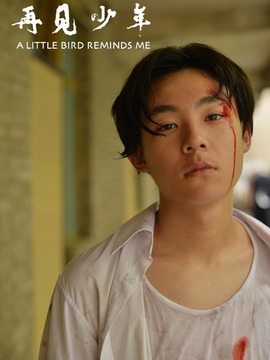 再见少年