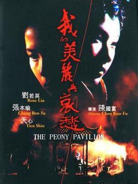 我的美丽与哀愁