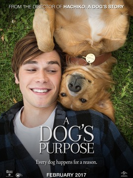 一条狗的使命