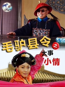 毛驴县令之大事小情