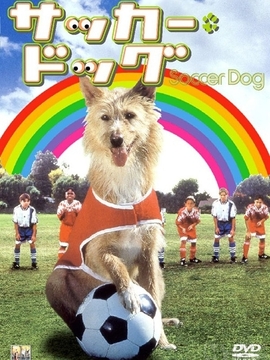 我的狗腿很厉害