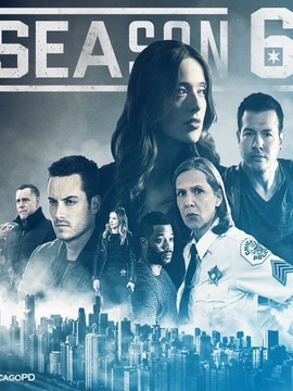 芝加哥警署第六季