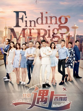 电视剧北京遇上西雅图
