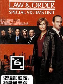法律与秩序:特殊受害者第六季