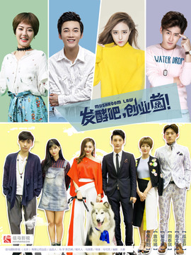 发酵吧，创业菌！