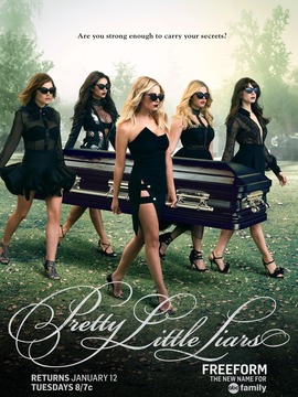 美少女的谎言第七季