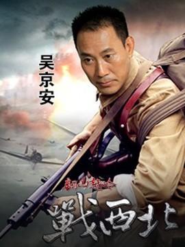 翻山越岭战西北