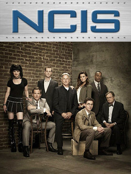 海军罪案调查处第十一季