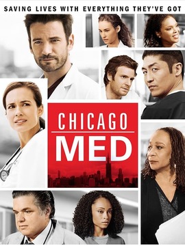 芝加哥医院第四季