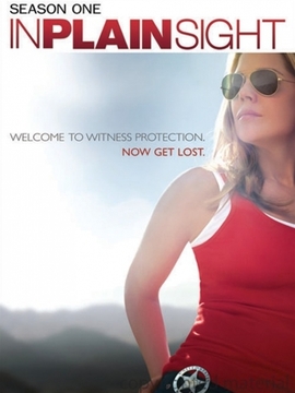 平地风云第一季