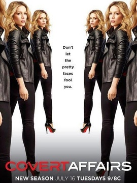 谍影迷情第四季