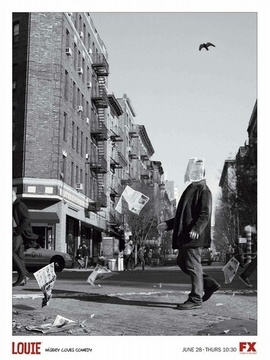 路易不容易第三季